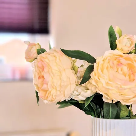 فيلة Haus Fabjerg *