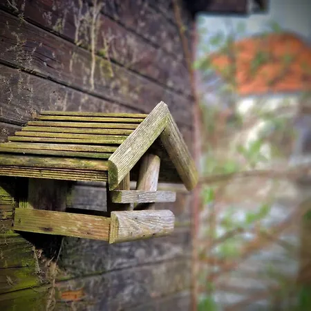 فيلة Haus Fabjerg ليمفج