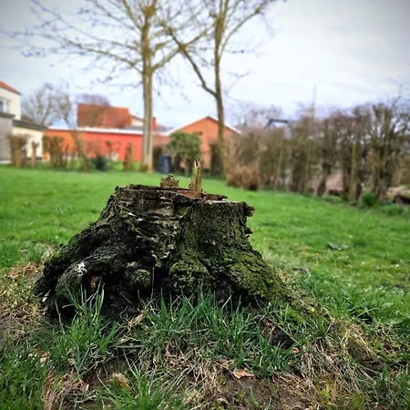 Haus Fabjerg Willa